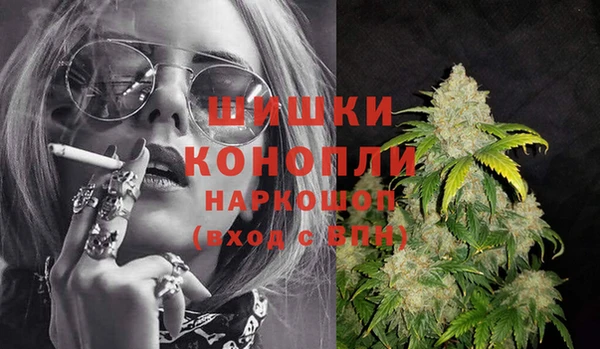 мет Ельня