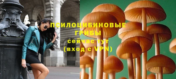 спайс Елизово