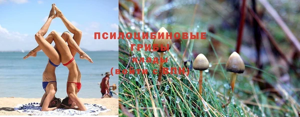 дурь Гусь-Хрустальный