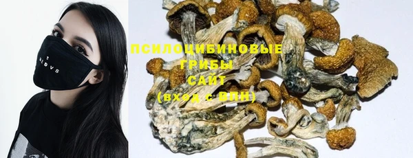 PSILOCYBIN Дмитровск