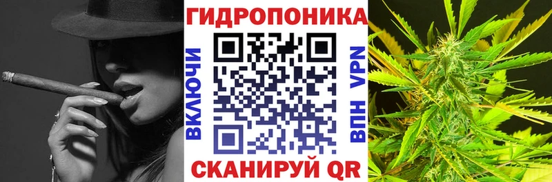 Купить  Любим  Шишки марихуана THC 21% 